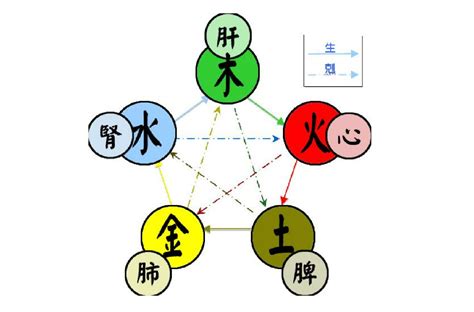 陰陽五行關係|五行(對萬事萬物的取象比類):簡介介紹,涵義解析,初始含義,對應關。